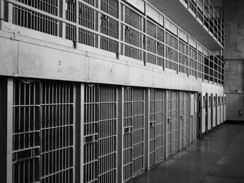 Anxiety From Immigration Enforcement Is Reaching a Breaking Point 